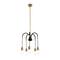 Hello Honey® Robert Stevenson Lighting Harper 19" Black and Brass 5-Light Exposed Bulb 2-Tone Metal Chandelier